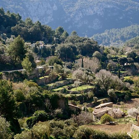 Casa Vell De Valldemossa Eksteriør billede